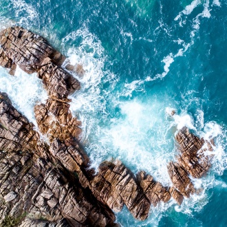 enrapture-media-276958